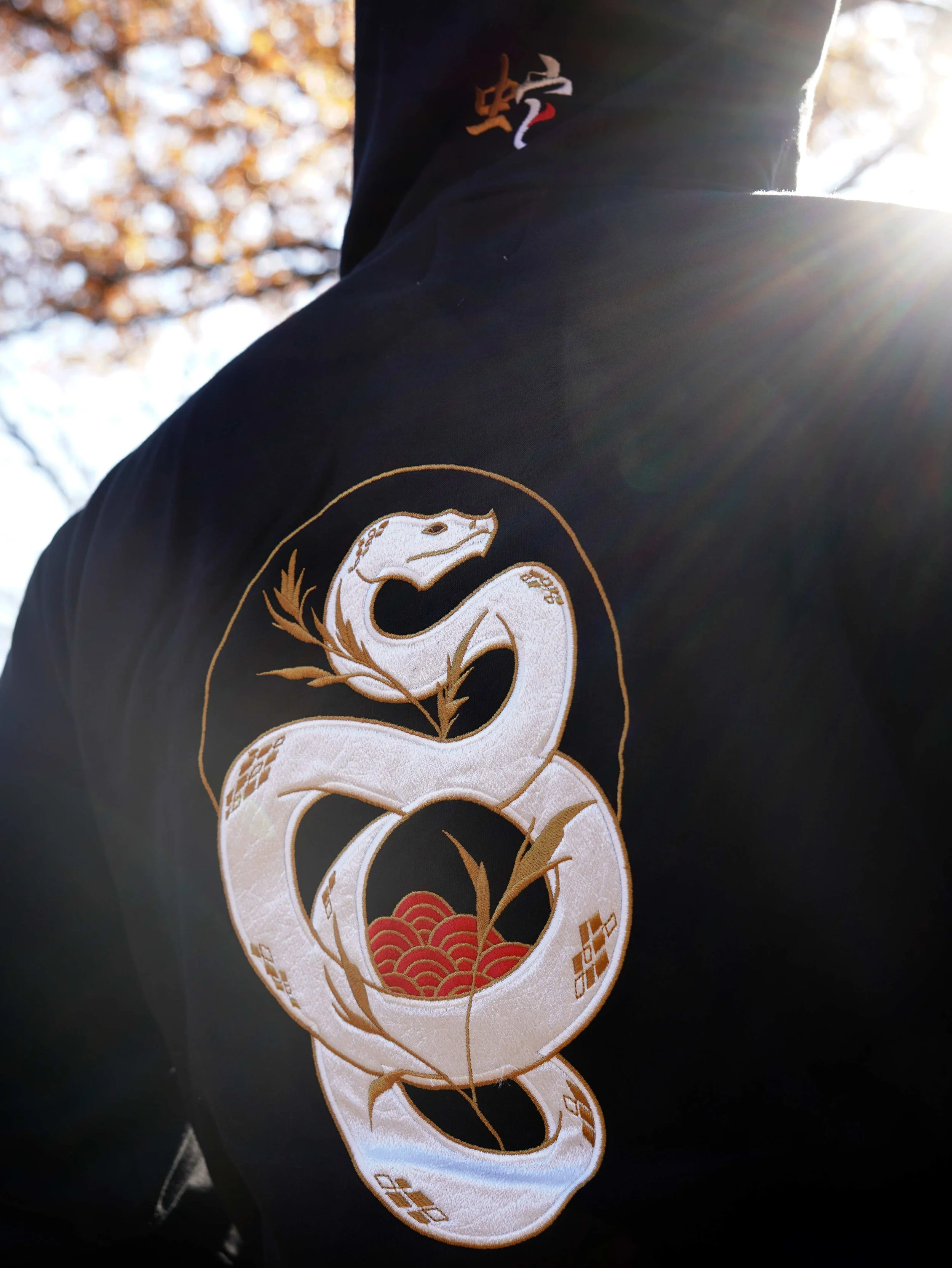 Year of the Snake Black Embroidered Hoodie | Saiyre Illustration